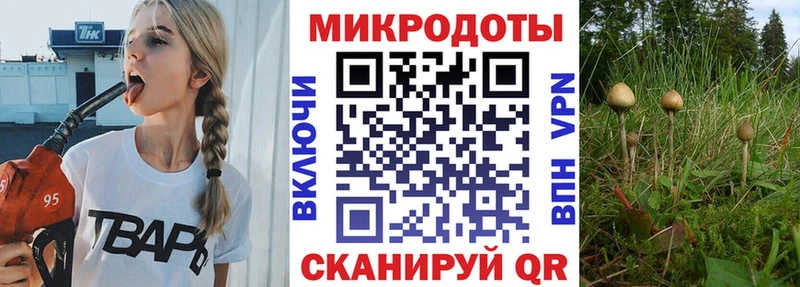 Псилоцибиновые грибы прущие грибы  ОМГ ОМГ как зайти  Норильск 